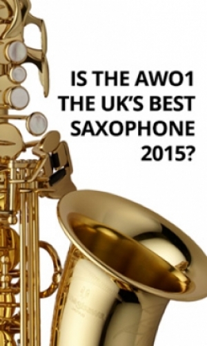 AWO1 nominated as UK&#039;s Best Sax 2015