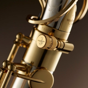 New &#039;Yany BooStar&#039; Saxophone Tone Enhancement
